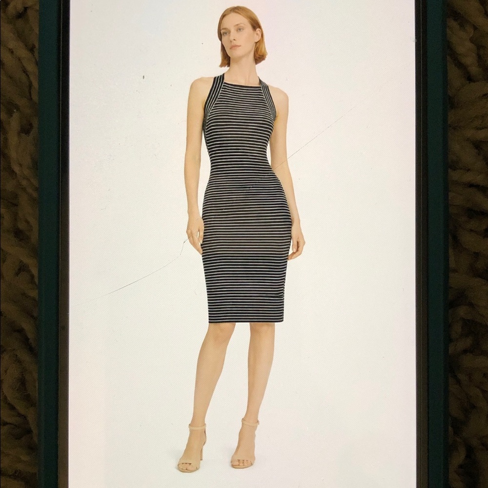New Max Studio Black and White Stripe Dress